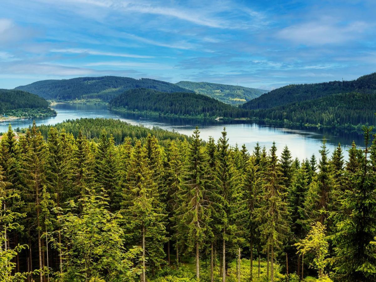 Black Forest Luxury Apartment Waldglueck Mit Sauna Königsfeld im Schwarzwald Exterior photo