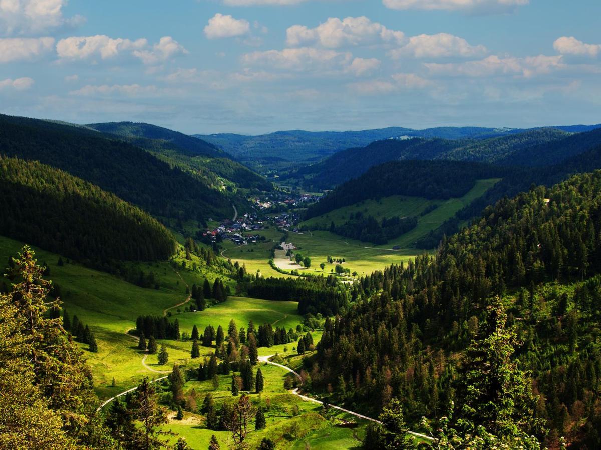 Black Forest Luxury Apartment Waldglueck Mit Sauna Königsfeld im Schwarzwald Exterior photo